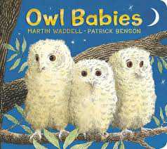Book cover of Owl Babies