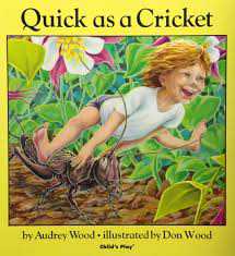 Book cover of Quick ad a Cricket