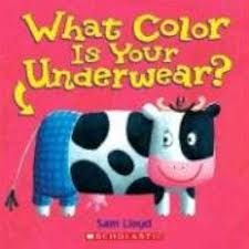 Book cover of What Color Is Your Underwear?