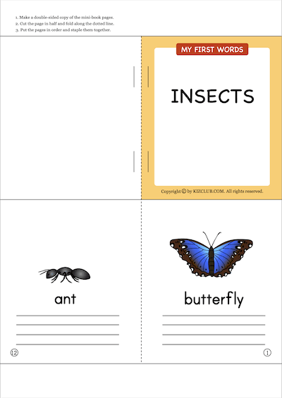 Insects Book