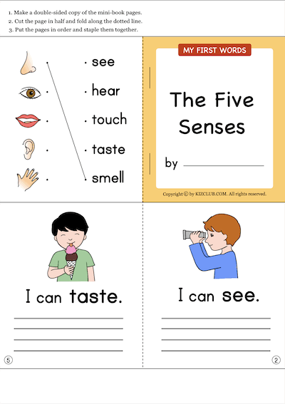 Five Senses Mini book