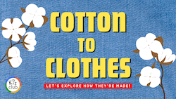 Cotton to Clothes