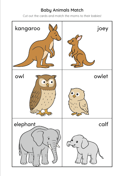 Baby Animals